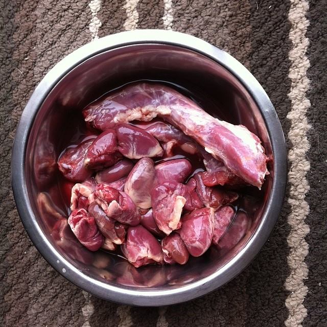 raw meat for pitbull puppies